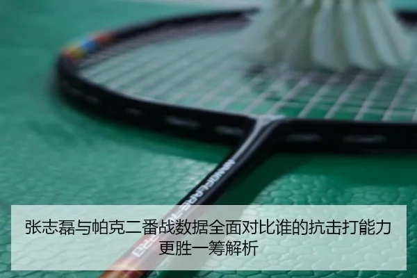 zhang-zhi-lei-yu-pa-ke-er-fan-zhan-shu-ju-quan-mian-dui-bi-shei-de-kang-ji-da-neng-li-geng-sheng-yi-chou-jie-xi-2-236.jpg